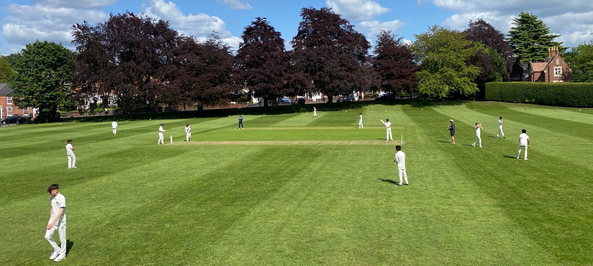 cricket field in glorious summer sunshine with two boys teams playing a match and dark purple trees in the background