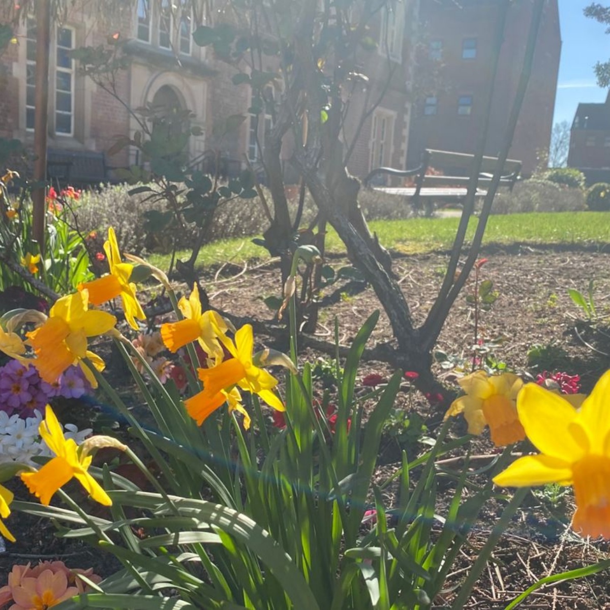 Old Swinford Hospital - Spring Newsletter 2025
